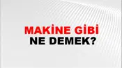 Makine Gibi
