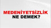 Medeniyetsizlik
