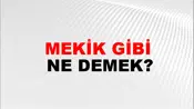 Mekik Gibi