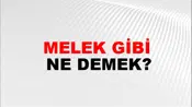 Melek Gibi