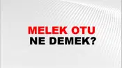 Melek Otu