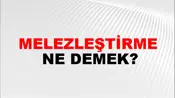 Melezleştirme