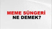 Meme Süngeri