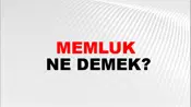 Memluk