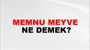 Memnu Meyve