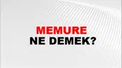 Memure