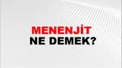 Menenjit