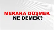 Meraka Düşmek