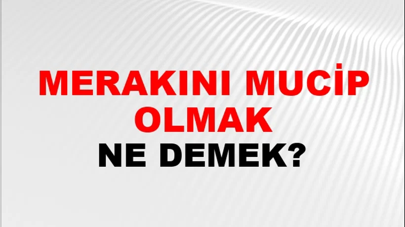 Merakını Mucip Olmak Merakını Mucip Olmak