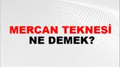 Mercan Teknesi