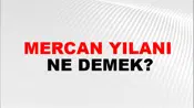 Mercan Yılanı