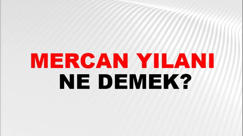 Mercan Yılanı Mercan Yılanı