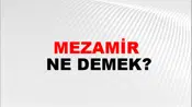 Mezamir