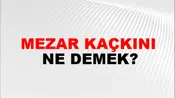 Mezar Kaçkını