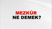Mezkûr