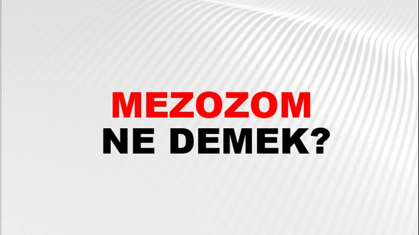 Mezozom Mezozom