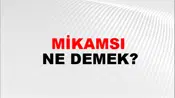 Mikamsı