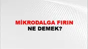 Mikrodalga Fırın