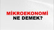 Mikroekonomi