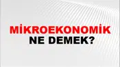 Mikroekonomik