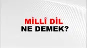 Millî Dil