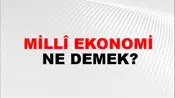 Millî Ekonomi