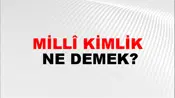 Millî Kimlik