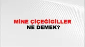 Mine Çiçeğigiller
