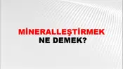 Mineralleştirmek