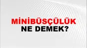 Minibüsçülük