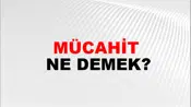 Mücahit
