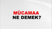Mücamaa