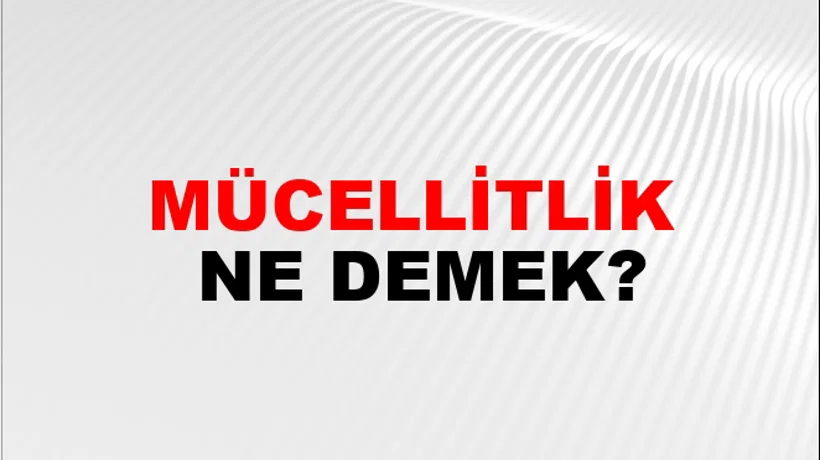 Mücellitlik Mücellitlik