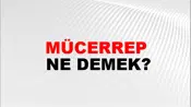 Mücerrep