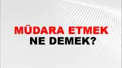 Müdara Etmek