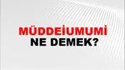 Müddeiumumi