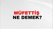 Müfettiş
