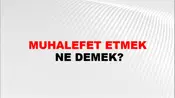 Muhalefet Etmek