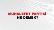 Muhalefet Partisi
