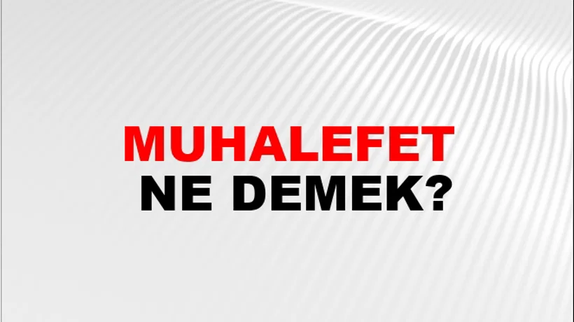 Muhalefet Muhalefet