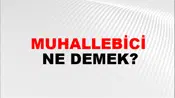 Muhallebici