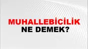 Muhallebicilik