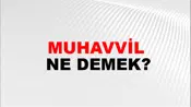 Muhavvil