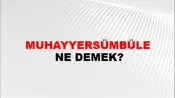 Muhayyersümbüle