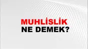 Muhlislik