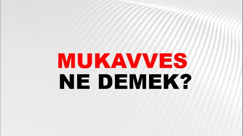 Mukavves Mukavves