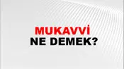 Mukavvi