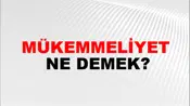 Mükemmeliyet