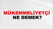 Mükemmeliyetçi