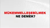 Mükemmelleşebilmek